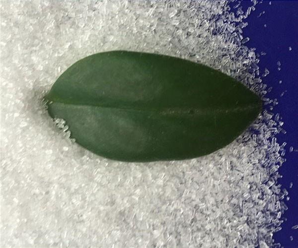 為什么硫酸鎂價格會有差別呢？